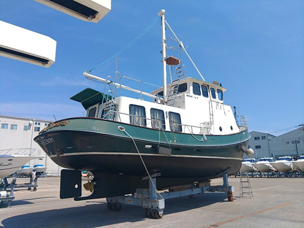 �A���t�B�j 41 �^�O